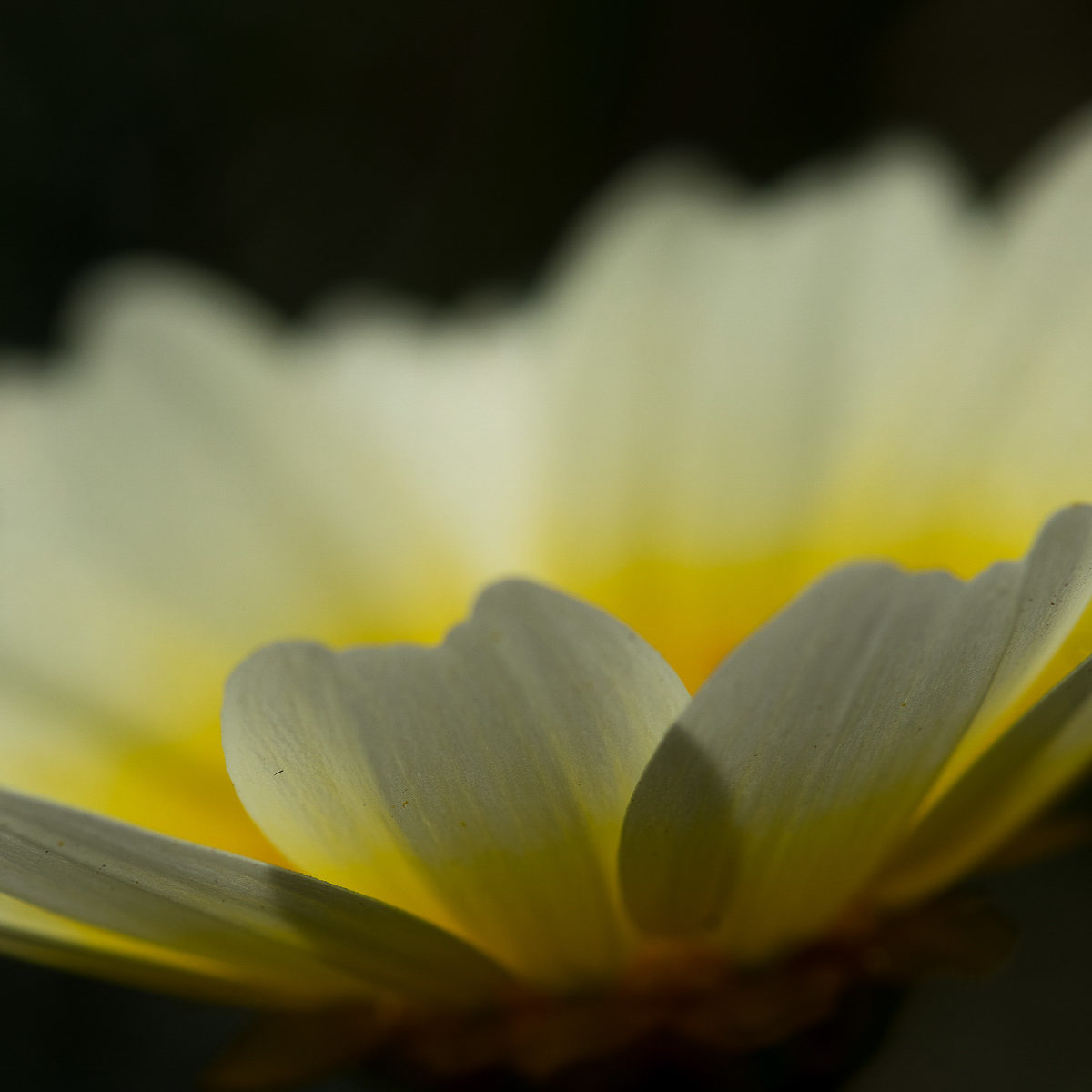 04 04